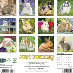 2025 Willow Creek Just Bunnies 12" x 12" Monthly Wall Calendar (42045)