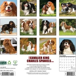 2025 Willow Creek Just Cavalier King Charles Spaniels 12" x 12" Monthly Wall Calendar (42274)
