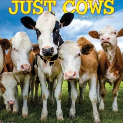 2025 Willow Creek Just Cows 12" x 12" Monthly Wall Calendar (42625)