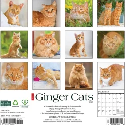 2025 Willow Creek Just Ginger Cats 12" x 12" Monthly Wall Calendar (43059)