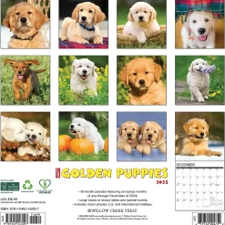 2025 Willow Creek Just Golden Puppies 12" x 12" Monthly Wall Calendar (43097)