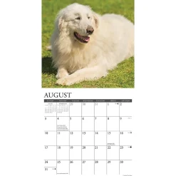 2025 Willow Creek Just Great Pyrenees 12