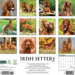 2025 Willow Creek Just Irish Setters 12" x 12" Monthly Wall Calendar (43523)