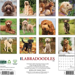 2025 Willow Creek Just Labradoodles 12" x 12" Monthly Wall Calendar (43660)
