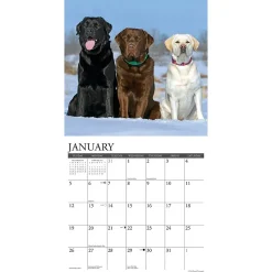 2025 Willow Creek Just Labs 12