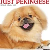 2025 Willow Creek Just Pekingese 12" x 12" Monthly Wall Calendar (44407)