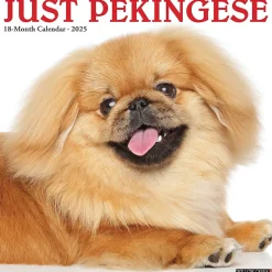 2025 Willow Creek Just Pekingese 12" x 12" Monthly Wall Calendar (44407)