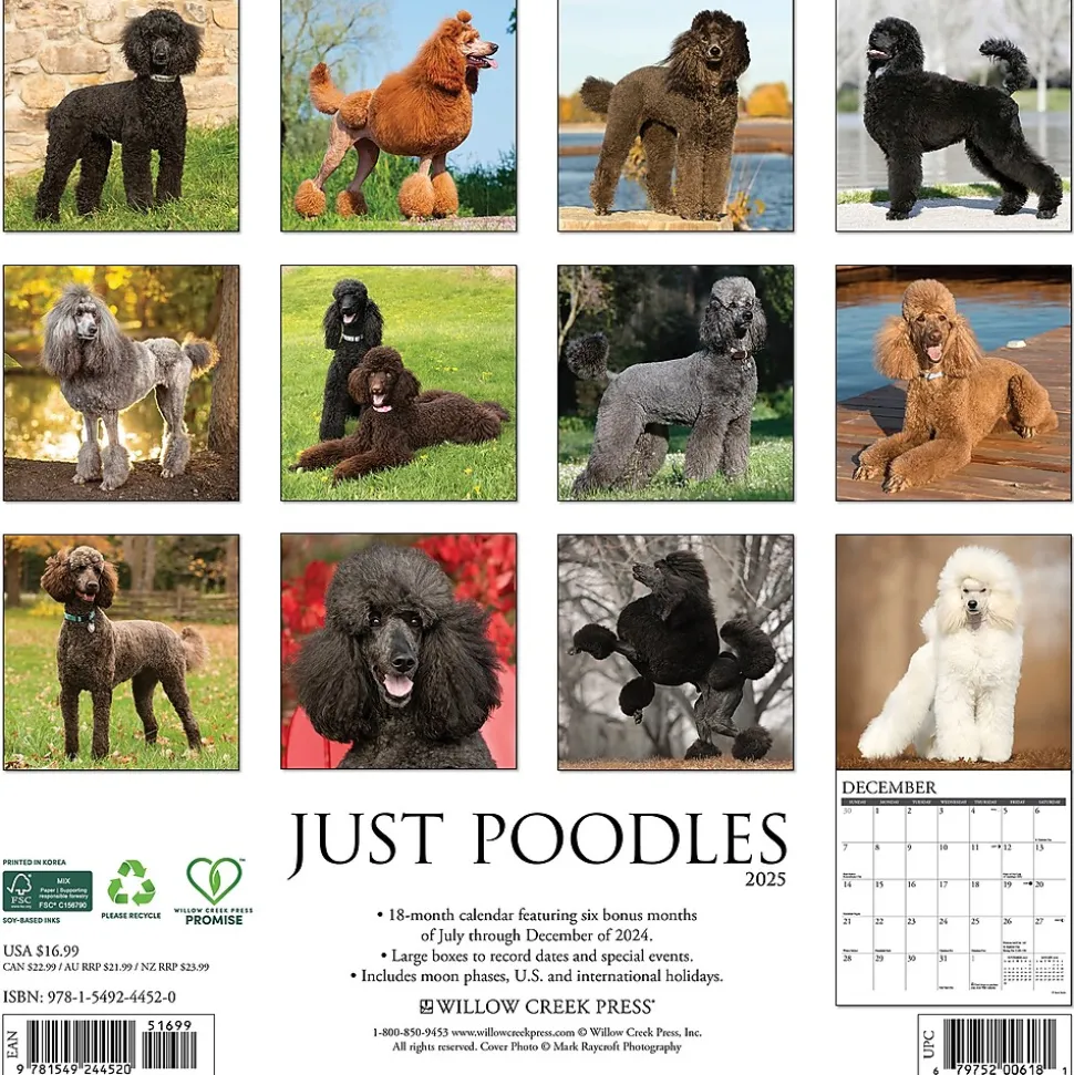 2025 Willow Creek Just Poodles 12" x 12" Monthly Wall Calendar (44520)