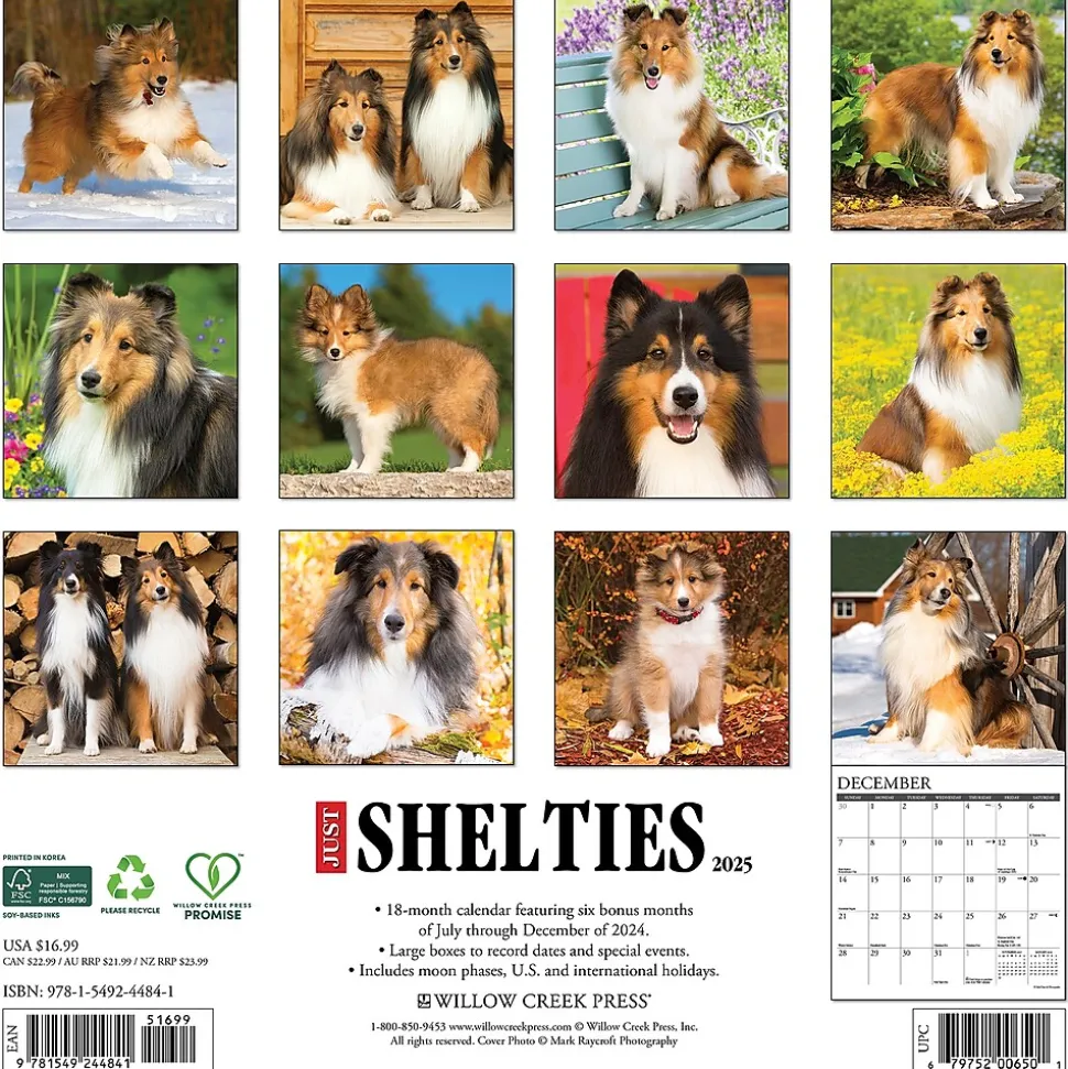 2025 Willow Creek Just Shelties 12" x 12" Monthly Wall Calendar (44841)