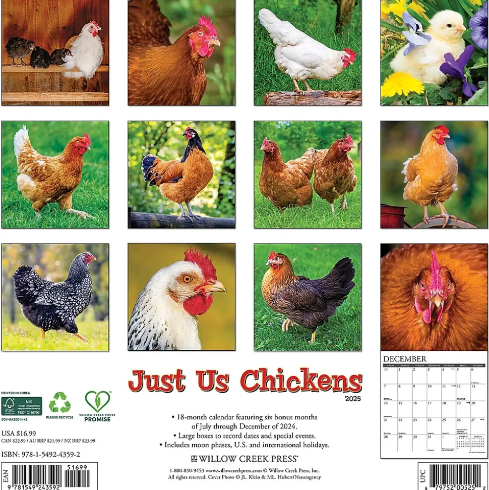 2025 Willow Creek Just Us Chickens 12" x 12" Monthly Wall Calendar (43592)