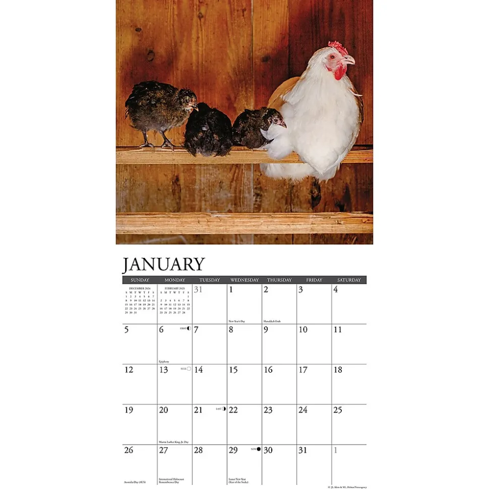 2025 Willow Creek Just Us Chickens 12" x 12" Monthly Wall Calendar (43592)