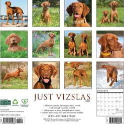 2025 Willow Creek Just Vizslas 12" x 12" Monthly Wall Calendar (45268)