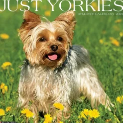 2025 Willow Creek Just Yorkies 12" x 12" Monthly Wall Calendar (45558)