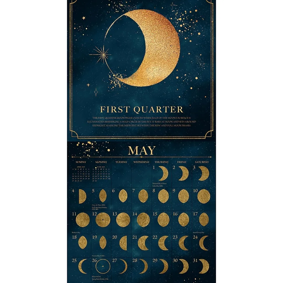 2025 Willow Creek Moon Magic 12" x 12" Monthly Wall Calendar (46630)
