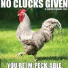 2025 Willow Creek No Clucks Given 12" x 12" Monthly Wall Calendar (44216)