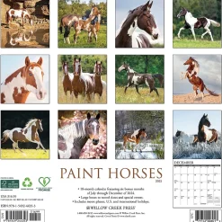 2025 Willow Creek Paint Horses 12" x 12" Monthly Wall Calendar (44353)