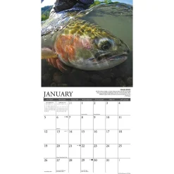 2025 Willow Creek Press What Fly Fishing Teaches Us 2025 Wall Calendar 12