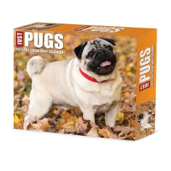 2025 Willow Creek Pugs 6" x 5.5" Day-to-Day Calendar (40997)