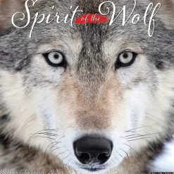 2025 Willow Creek Spirit of the Wolf 12" x 12" Monthly Wall Calendar (45008)
