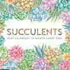 2025 Willow Creek Succulents 12" x 12" Yearly Wall Calendar (46616)