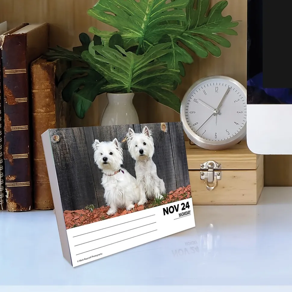 2025 Willow Creek Westies 6" x 5.5" Day-to-Day Calendar (41093)