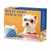 2025 Willow Creek What Dogs Teach Us 6" x 5.5" Day-to-Day Calendar (41116)