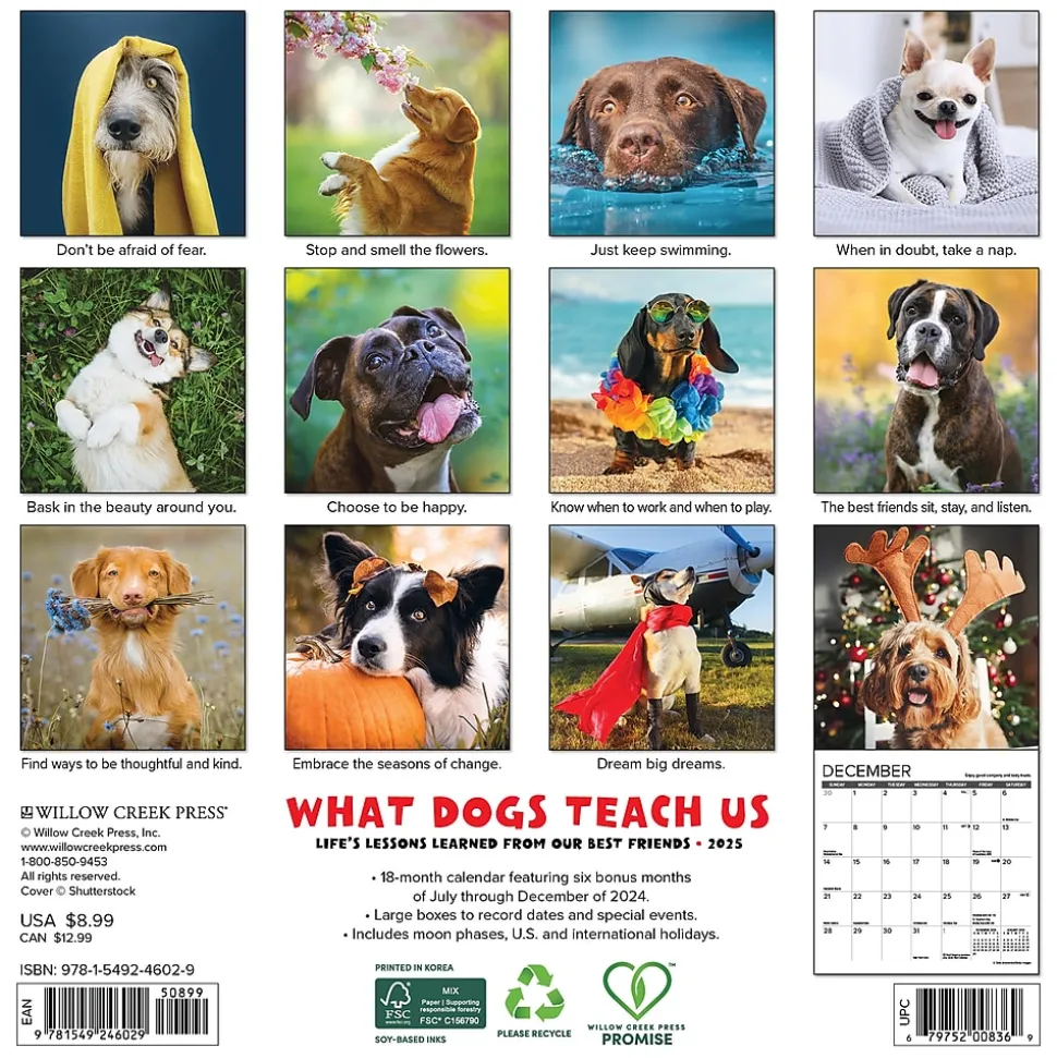 2025 Willow Creek What Dogs Teach Us 7" x 7" Monthly Wall Calendar (46029)