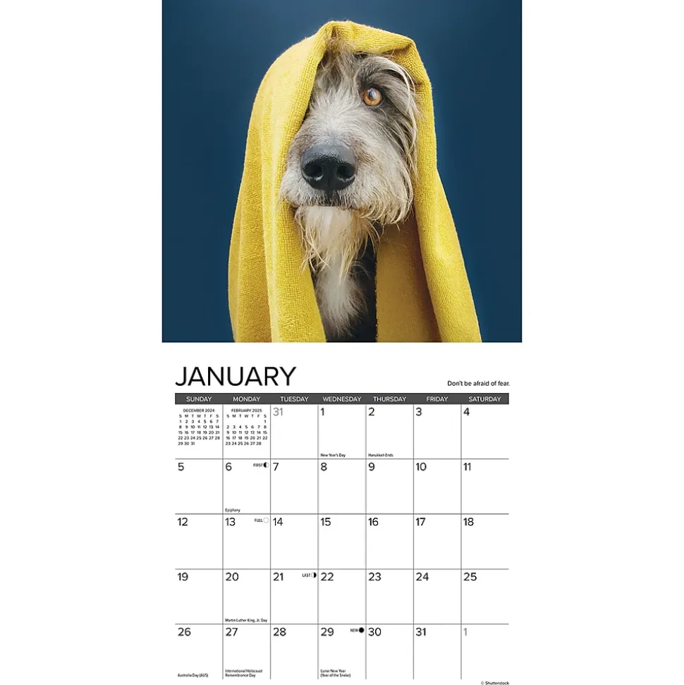 2025 Willow Creek What Dogs Teach Us 7" x 7" Monthly Wall Calendar (46029)