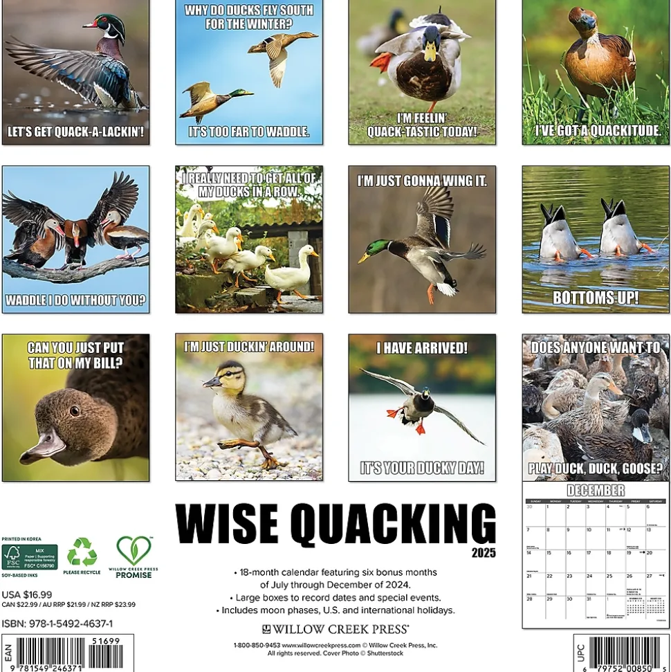 2025 Willow Creek Wise Quacking 12" x 12" Yearly Wall Calendar (46371)