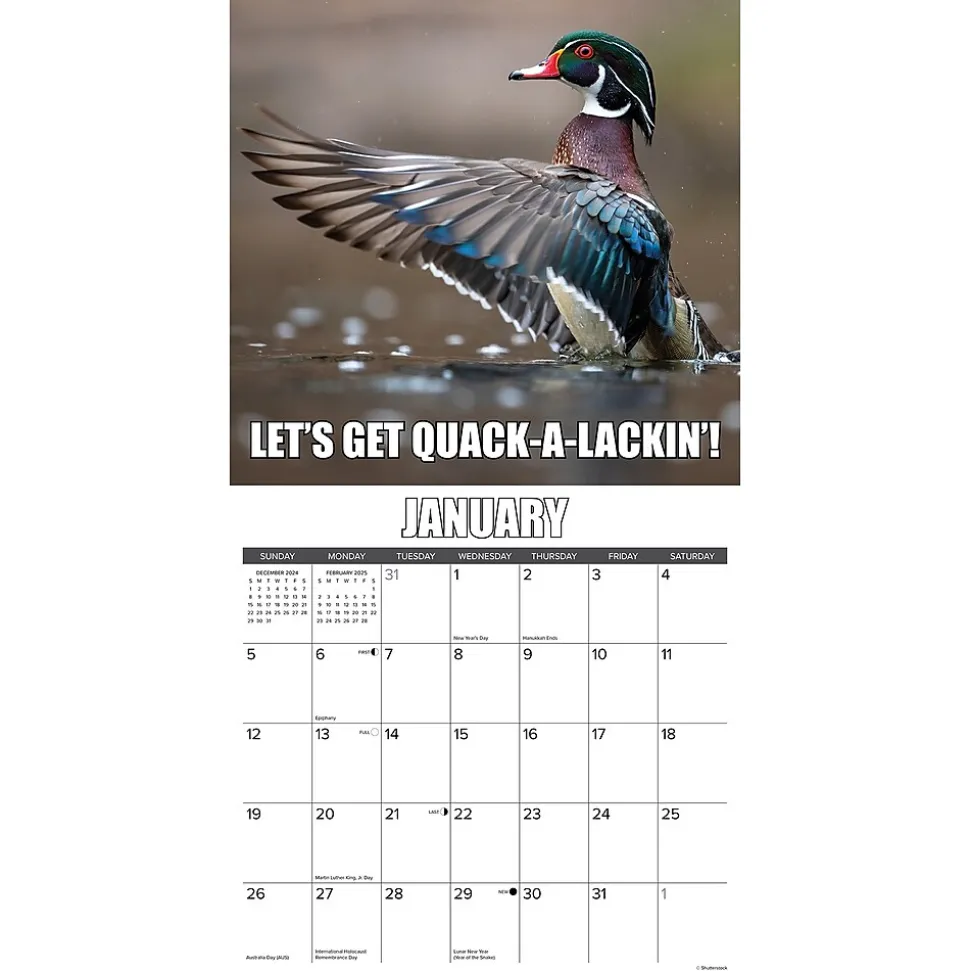 2025 Willow Creek Wise Quacking 12" x 12" Yearly Wall Calendar (46371)