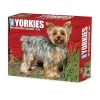 2025 Willow Creek Yorkies 6" x 5.5" Day-to-Day Calendar (41130)
