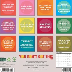 2025 Willow Creek You Don't Got This 12" x 12" Monthly Wall Calendar (45565)