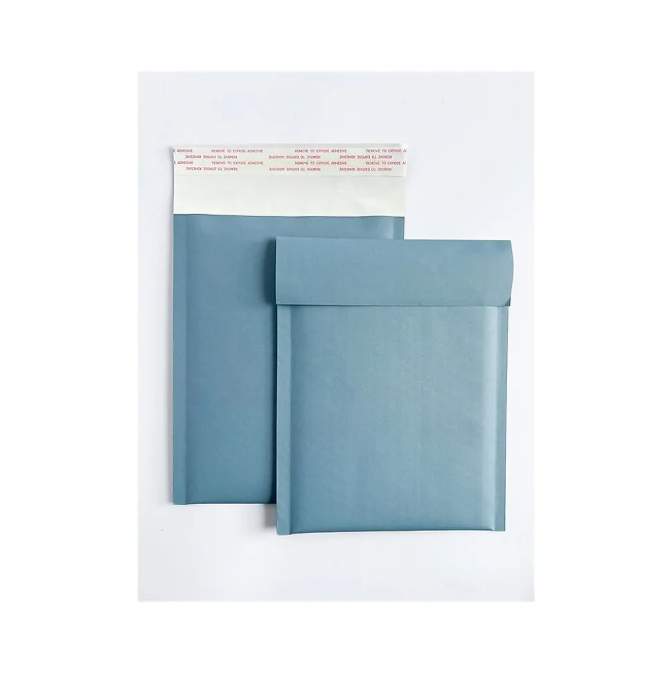 6" x 9" Self-Sealing Bubble Mailer, Blue (245160)