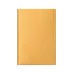 13.13" x 17.75" Self-Sealing Bubble Mailer, #6, 25/Carton (ST56651B)