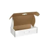 18-1/4" x 11-3/8" x 4-1/2" Carrying Case Mailer with Plastic Handle