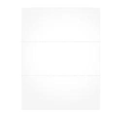 Adams 2024 Blank Tax Form, 50/Pack (BL1099-S)