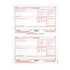 Adams 2024 W-2 1-Part Copy A Laser/Inkject Tax Forms, 100/pack (LW2FEDAW3)