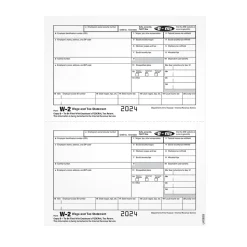Adams 2024 W-2 1-Part Copy B Laser/Inkject Tax Forms, 100/pack (LW2EEBQ)