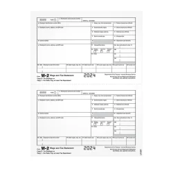 Adams 2024 W-2 1-Part Copy 1/D Laser/Inkject Tax Forms, 100/pack (LW2ERQ)