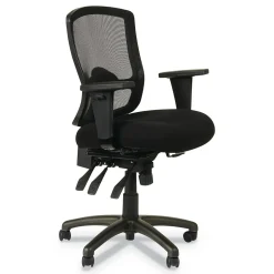 Alera Etros Series Mesh Back Fabric Computer and Desk Chair, Black (ALEET4017)