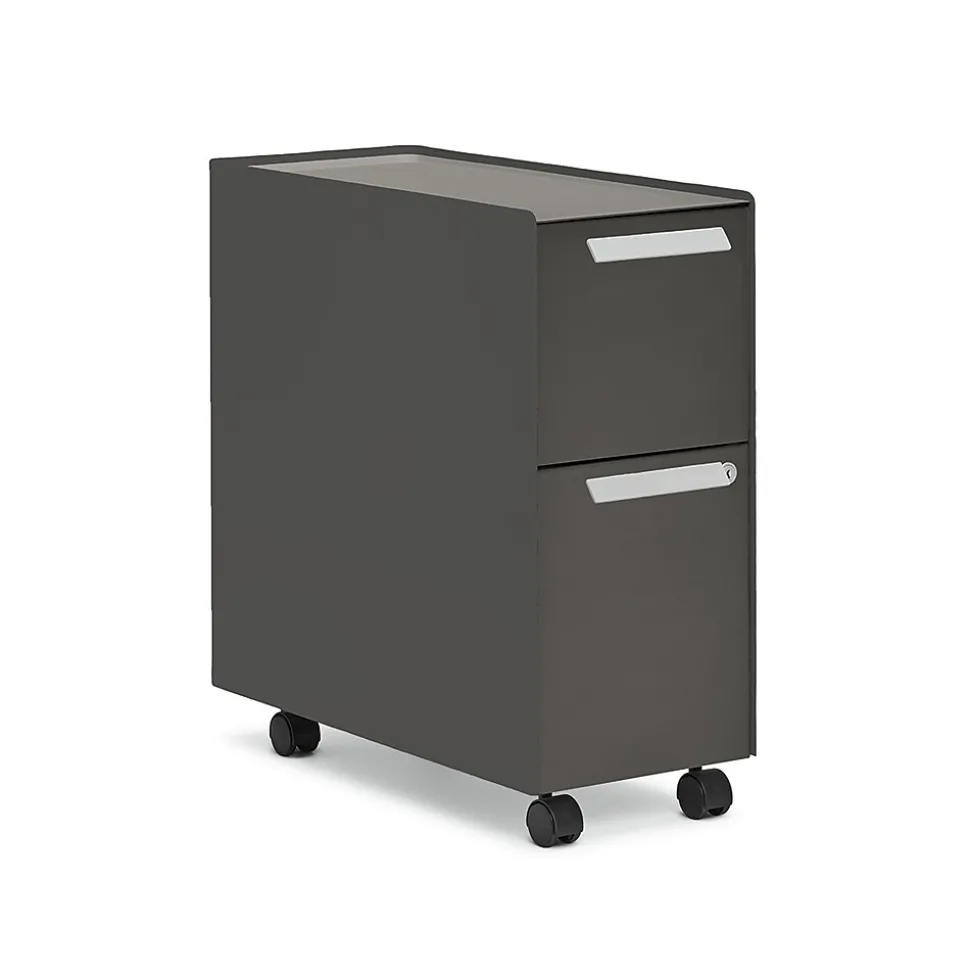 Allsteel Radii 2-Drawer Mobile Vertical File Cabinet, Letter/Legal Size, Lockable, 21"H x 10"W x 24"D, Flint (APGMBS249TFN001)