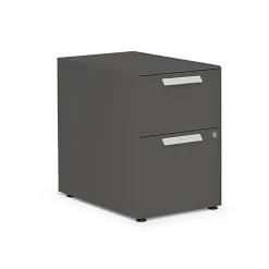 Allsteel Radii 2-Drawer Mobile Vertical File Cabinet, Letter/Legal Size, Lockable, 21"H x 15"W x 24"D, Flint (APGMBP249TFN001)