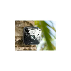 Amazon Blink Indoor/Outdoor Wireless Security Camera, Black (B086DKMSSM)