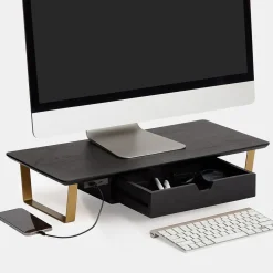 Anji Mountain Mango Wood & Metal Monitor Stand with Two USB Ports and Drawer, Black and Gold (MS-BLK-06GLD-PD)
