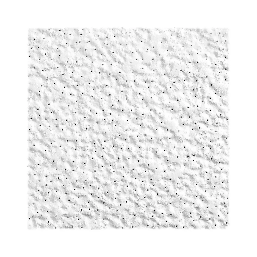 Armstrong ARMATUFF Lay-In Square Edge Ceiling Tile, 24" x 48", White, 8/Carton (BP860)