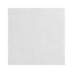 Armstrong CALLA Square Tegular Edge Ceiling Tile 9/16, 24" x 60", White, 8/Carton (BP2859)