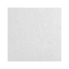 Armstrong CANYON Beveled Tegular Edge Ceiling Tile, 24" x 24", White, 16/Carton (BP1494A)