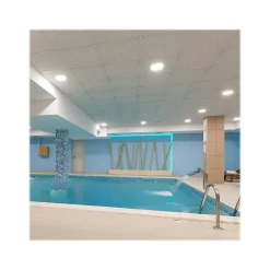 Armstrong CERAMAGUARD Fine Fissured Square Edge Ceiling Tile, 24" x 48", White, 6/Carton (BP608A)