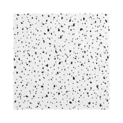 Armstrong CERAMAGUARD Fine Fissured Square Lay-In Edge Ceiling Tile, 24" x 24", White, 12/Carton (BP607A)