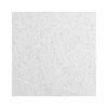 Armstrong CERAMAGUARD Square Edge Ceiling Tile, 24" x 48", White, 6/Carton (BP605C)